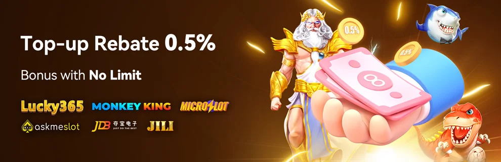 Top-Up Rebate 0.50%